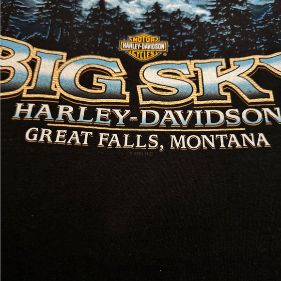Vintage 2004 Harley Davidson Big Sky Montana Eagle Graphic T Shirt - Picture 12 of 12